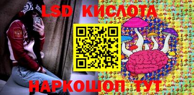 стаф Малгобек