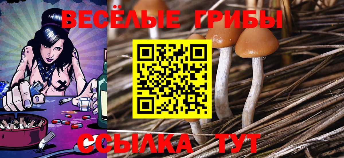 Галлюциногенные грибы MAGIC MUSHROOMS  Галлюциногенные грибы ЛСД  Волгоград  Вход с VPN 